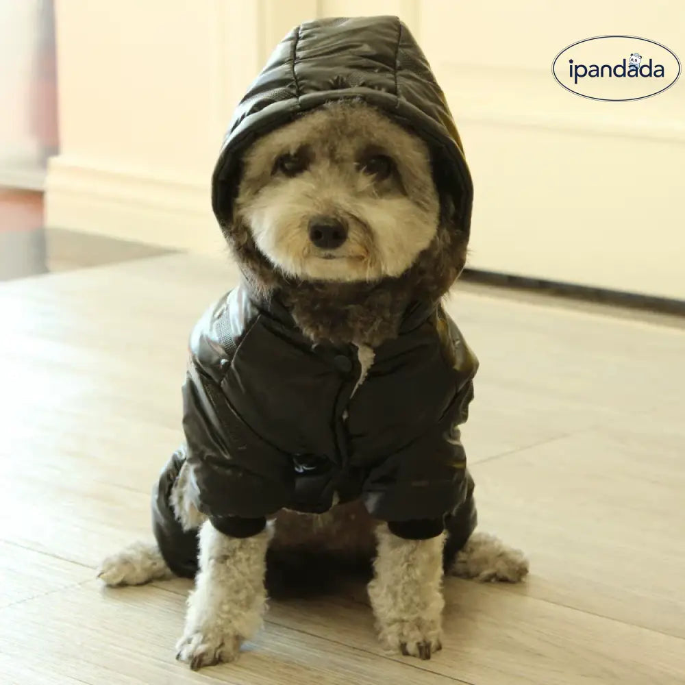 犬用 冬服 防風 保温 フルボディ 厚手 犬用 コート テディベア ペットウェア 秋冬用 ID3556