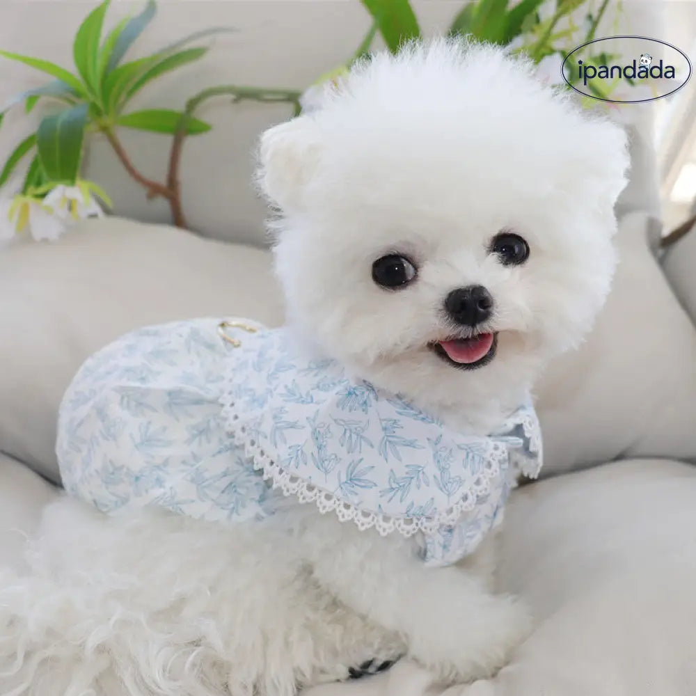 犬用服 薄手 牽引リング付き フランス風 花柄 フェアリードレス 新作 ペット用 ビションフリーゼ テディ ベア 猫用 ID2400