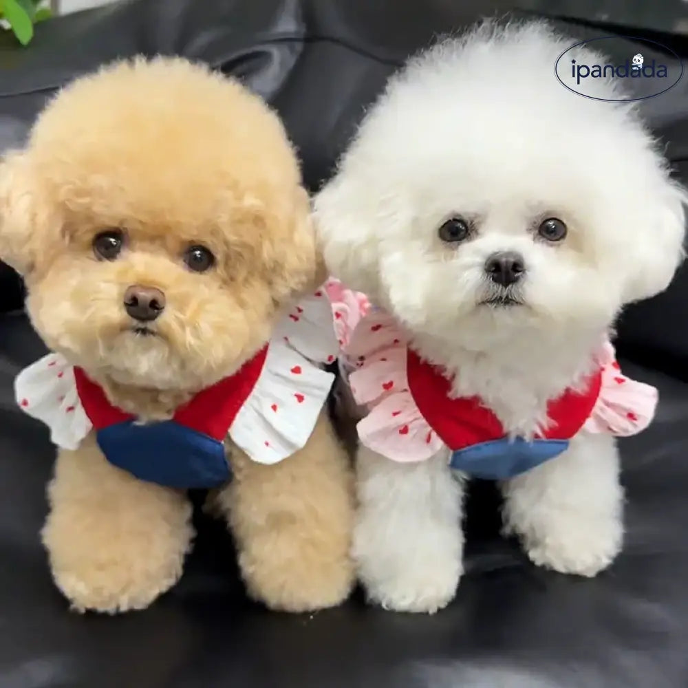 犬用服 デニム カートゥーン 牽引スカート ペット 胸掛け キャット用 プリンセスドレス 薄手 テディ 小型犬 毛が抜けにくい ID2080