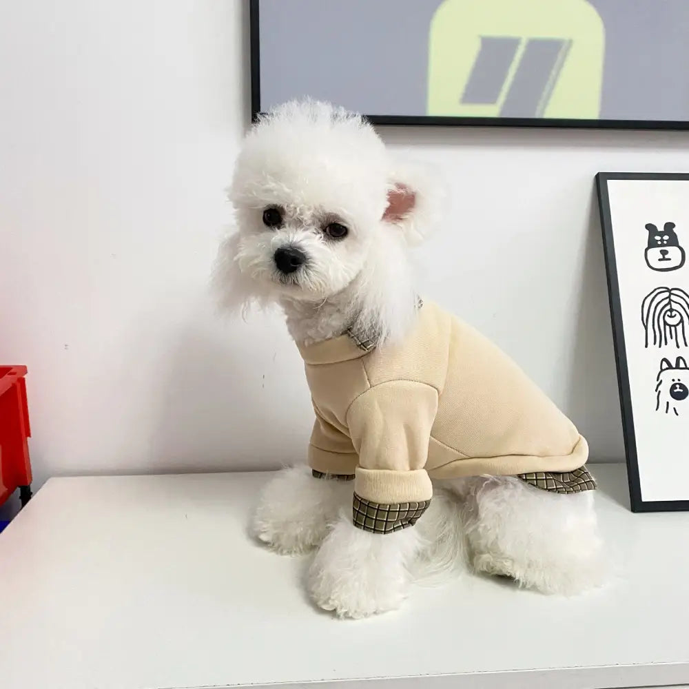 犬用 服 ペットウェア 秋冬用 テディベア 猫用 ペット服 冬用 フェイクツーピース ポロ襟 小熊 2足 セーター ペット用 ID2309 ベージュ / XS