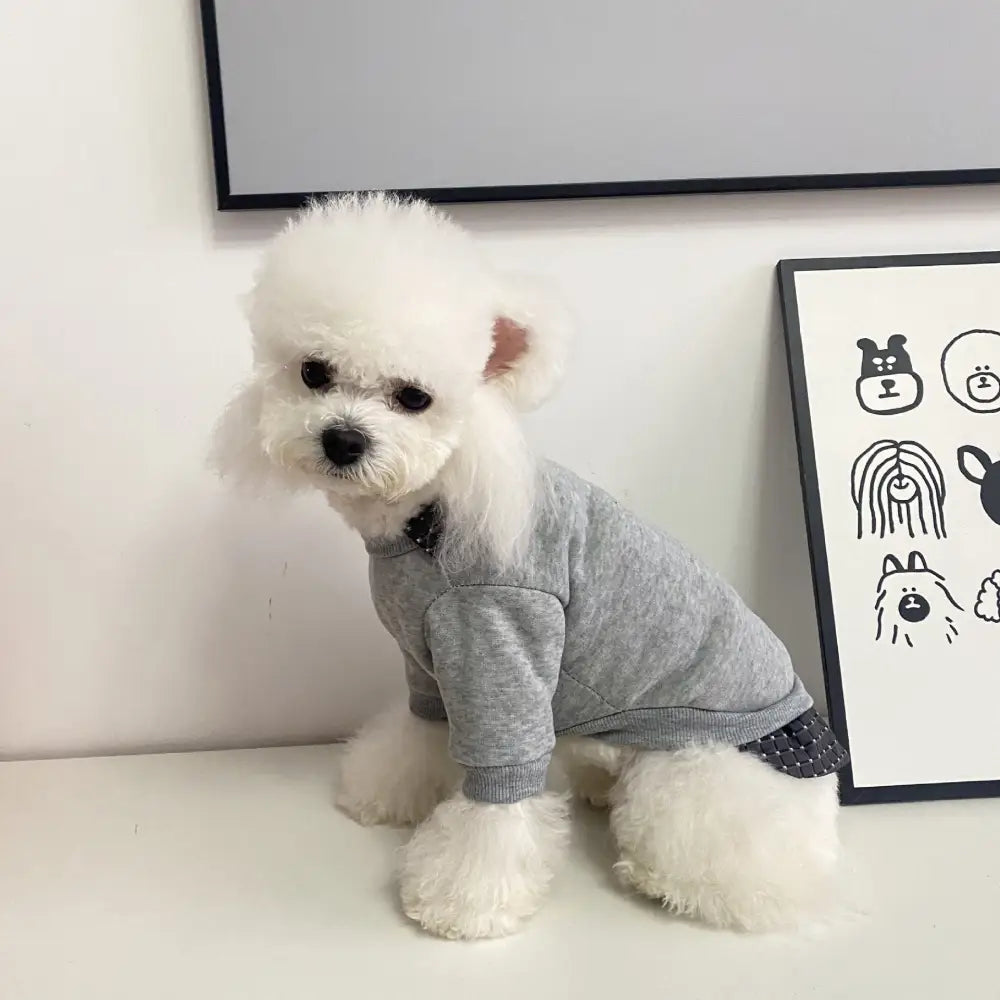犬用 服 ペットウェア 秋冬用 テディベア 猫用 ペット服 冬用 フェイクツーピース ポロ襟 小熊 2足 セーター ペット用 ID2309 グレー / XS