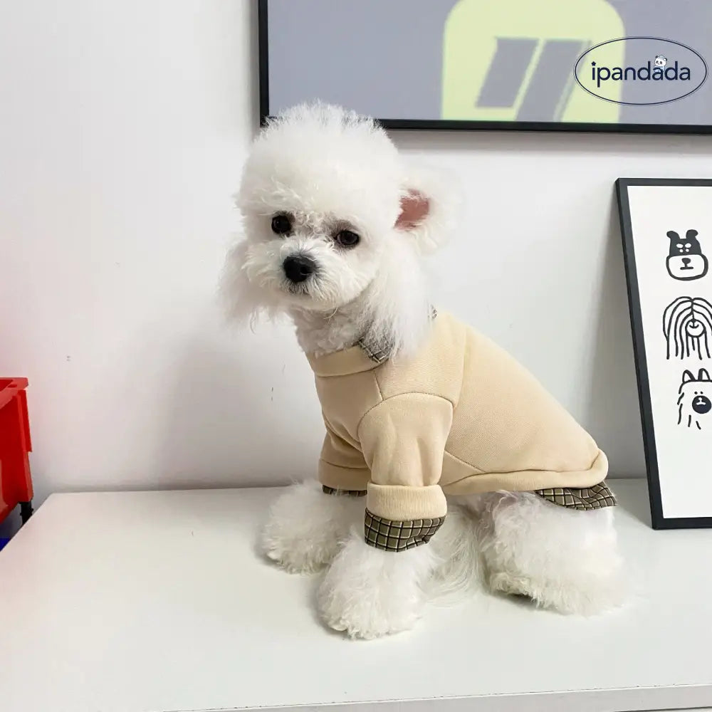 犬用 服 ペットウェア 秋冬用 テディベア 猫用 ペット服 冬用 フェイクツーピース ポロ襟 小熊 2足 セーター  ペット用 ID2309