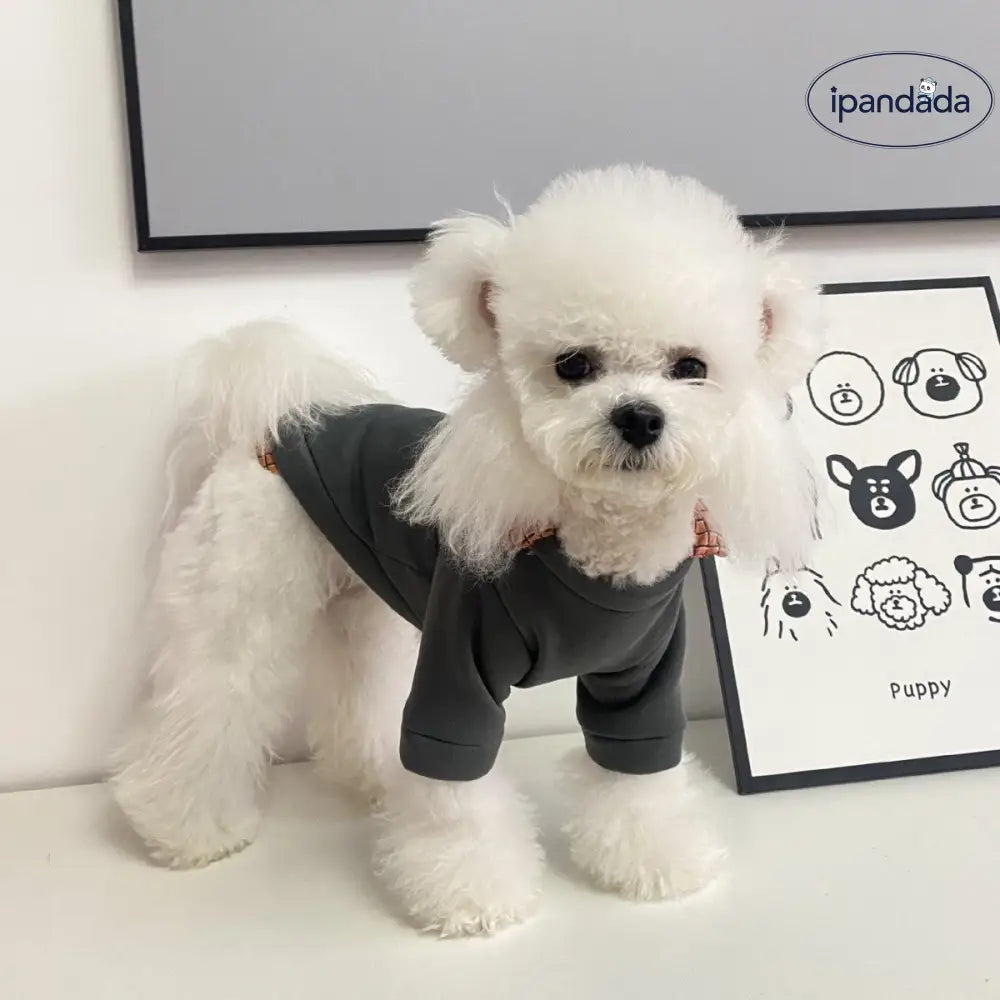 犬用 服 ペットウェア 秋冬用 テディベア 猫用 ペット服 冬用 フェイクツーピース ポロ襟 小熊 2足 セーター  ペット用 ID2309