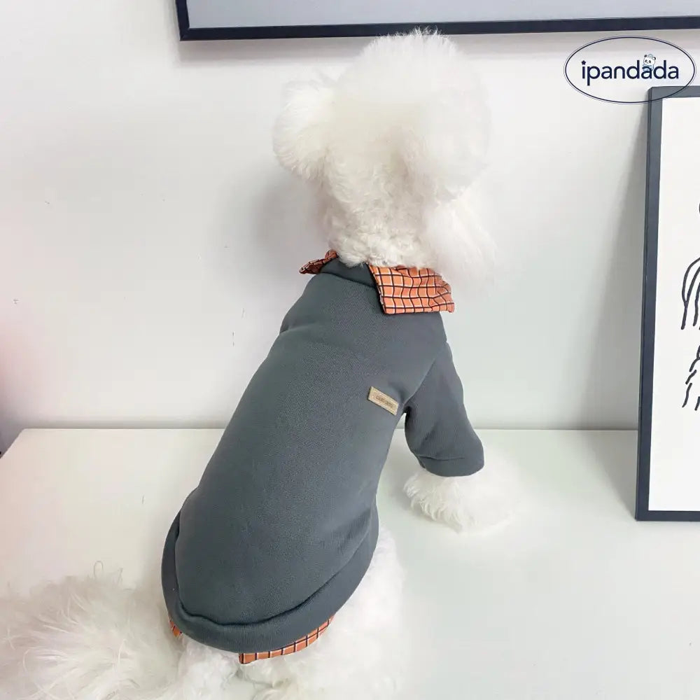 犬用 服 ペットウェア 秋冬用 テディベア 猫用 ペット服 冬用 フェイクツーピース ポロ襟 小熊 2足 セーター  ペット用 ID2309