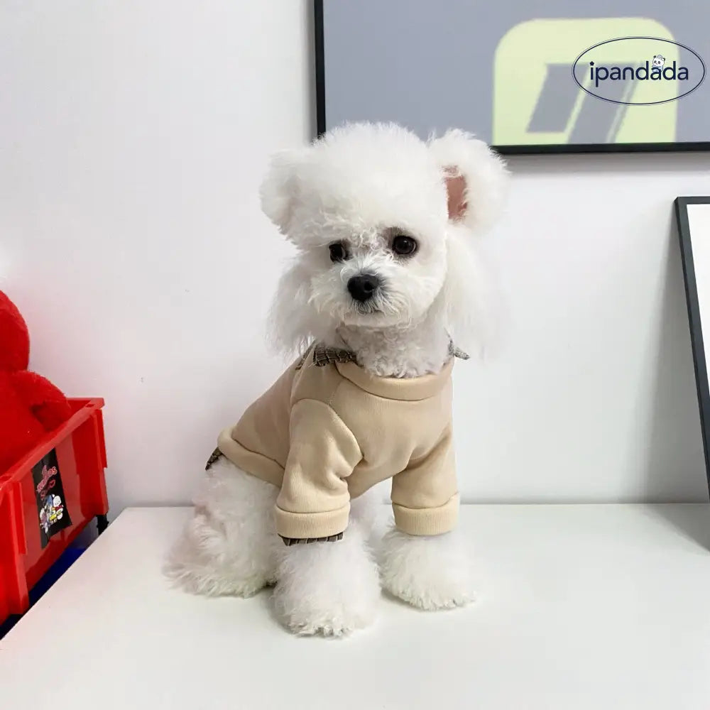 犬用 服 ペットウェア 秋冬用 テディベア 猫用 ペット服 冬用 フェイクツーピース ポロ襟 小熊 2足 セーター  ペット用 ID2309