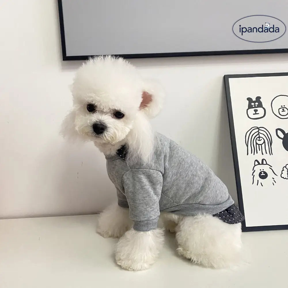 犬用 服 ペットウェア 秋冬用 テディベア 猫用 ペット服 冬用 フェイクツーピース ポロ襟 小熊 2足 セーター  ペット用 ID2309