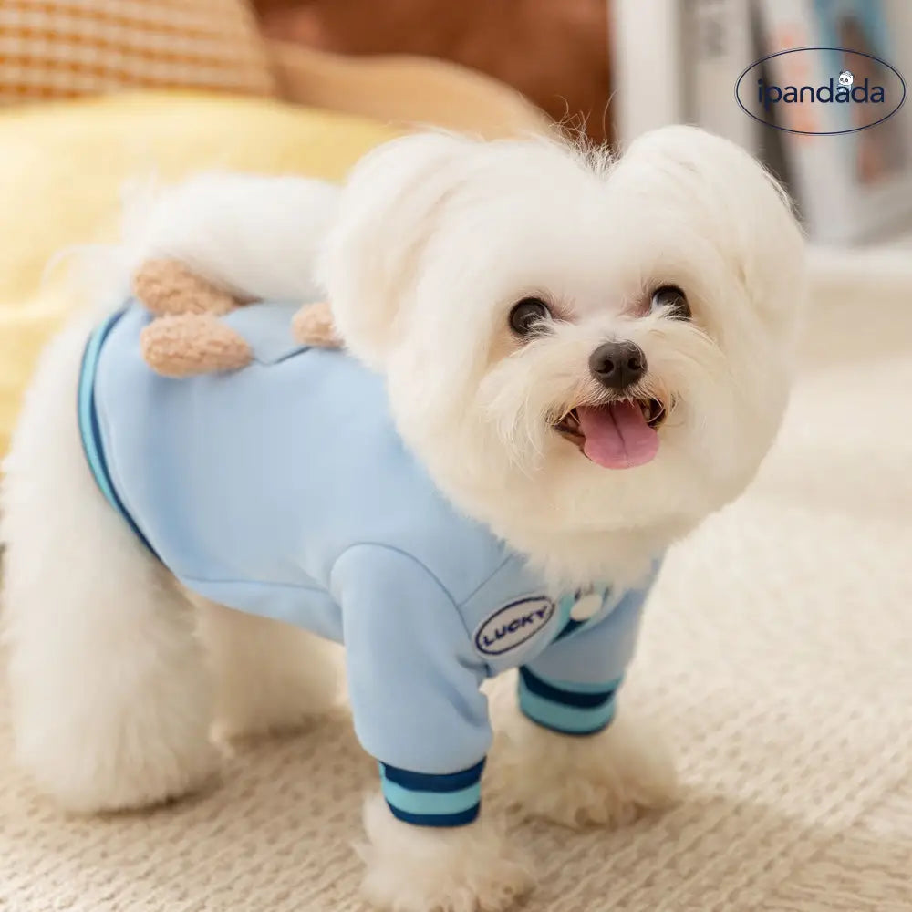 ID2247 犬用服 秋用 ポケット付き 立体クマ デザイン リードホール付き 2脚セーター タディ 中小型犬用 ペット服 毛が抜けにくい 保温