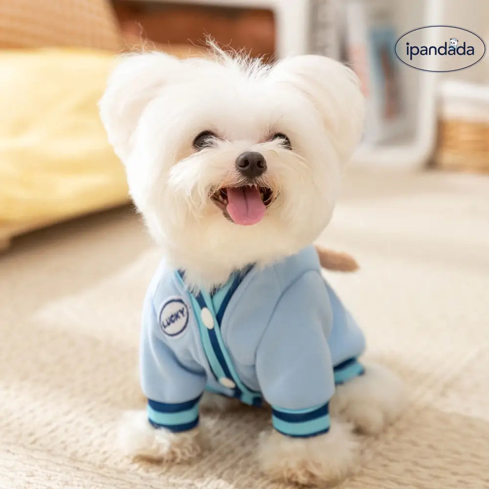 ID2247 犬用服 秋用 ポケット付き 立体クマ デザイン リードホール付き 2脚セーター タディ 中小型犬用 ペット服 毛が抜けにくい 保温