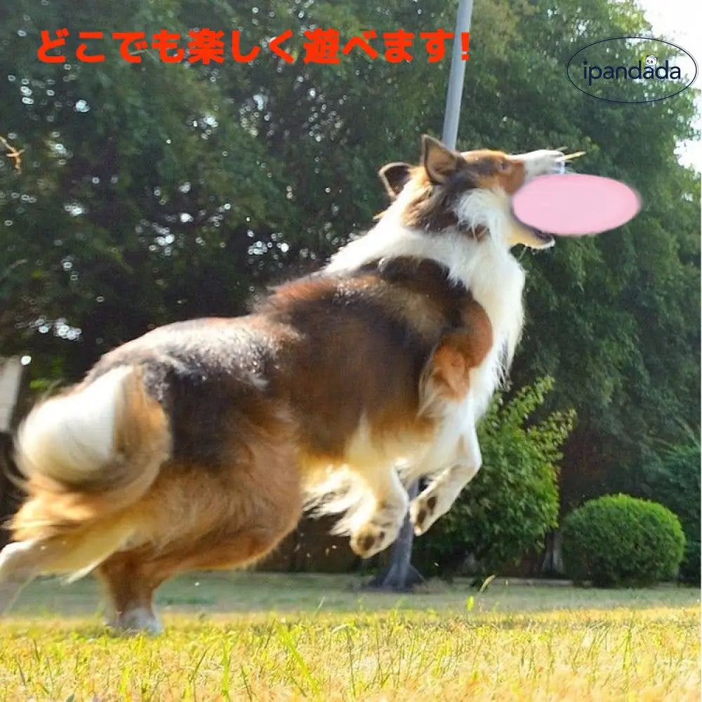 ID1926 犬用 フリスビーディスク フライングディスク スポーツディスク ペット 投げる 犬用スポーツディスク ドッグ 犬用おもちゃ ペットグッズ ワンちゃん