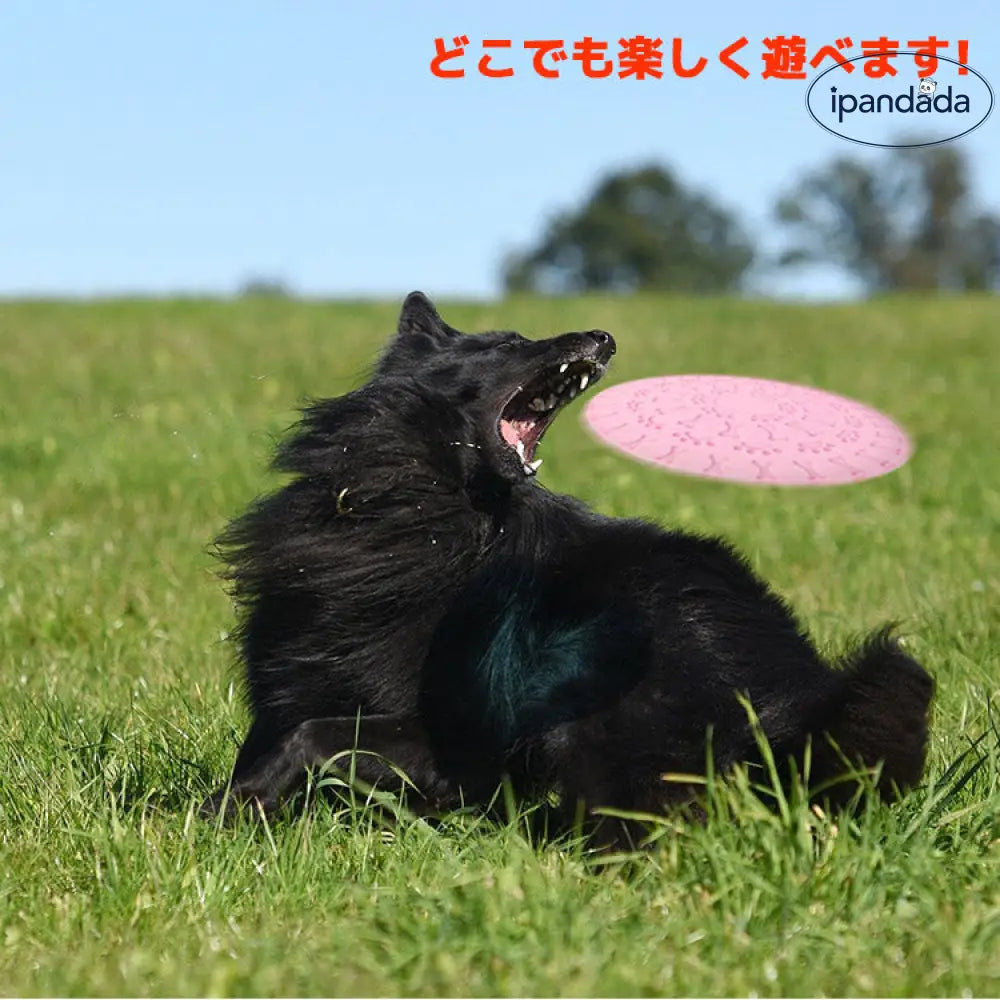 ID1926 犬用 フリスビーディスク フライングディスク スポーツディスク ペット 投げる 犬用スポーツディスク ドッグ 犬用おもちゃ ペットグッズ ワンちゃん