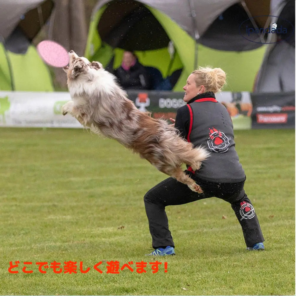 ID1926 犬用 フリスビーディスク フライングディスク スポーツディスク ペット 投げる 犬用スポーツディスク ドッグ 犬用おもちゃ ペットグッズ ワンちゃん