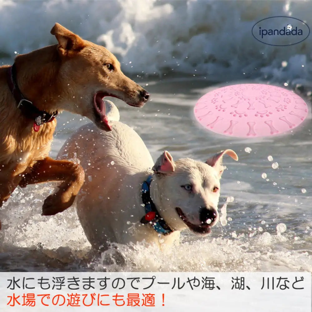 ID1926 犬用 フリスビーディスク フライングディスク スポーツディスク ペット 投げる 犬用スポーツディスク ドッグ 犬用おもちゃ ペットグッズ ワンちゃん