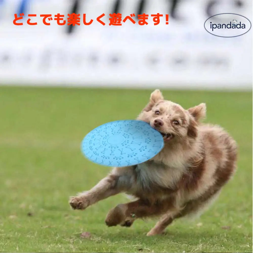 ID1926 犬用 フリスビーディスク フライングディスク スポーツディスク ペット 投げる 犬用スポーツディスク ドッグ 犬用おもちゃ ペットグッズ ワンちゃん