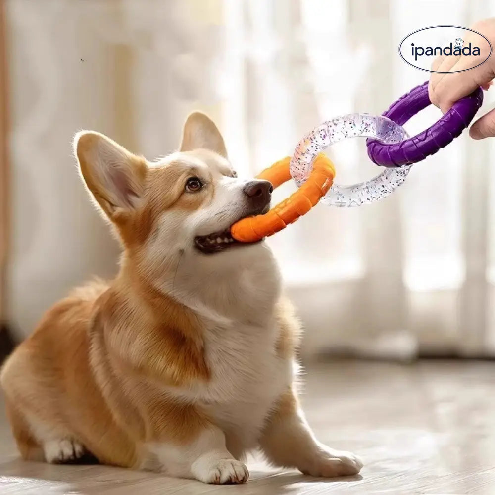ID1569 犬用 綱引きおもちゃ 噛む 歯磨き 知育玩具 子犬 耐久性 ストレス解消 衛生 お手入れ簡単 ペットストレス発散