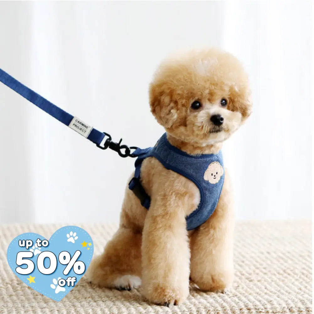 犬用 ハーネスリード 小型犬用 ペット用 散歩用 リード タイディ・ポメラニアン ペット用品 犬用 中型犬 小型犬 おしゃれ かわいい 簡単装着 おさんぽ 便利グッズ ID4642 ペット用品＞ハーネス・リード