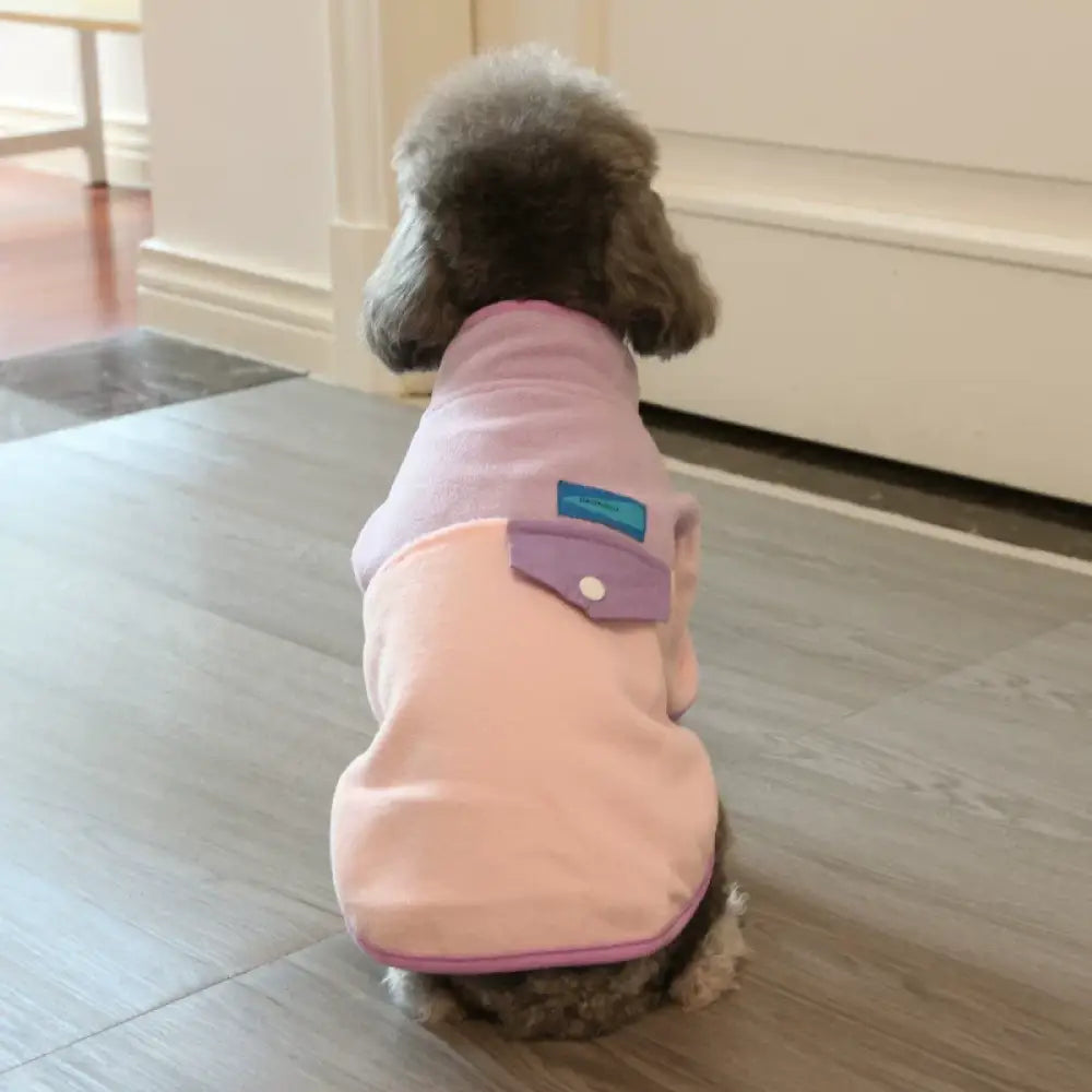 犬用 秋冬服 ダブルフェイス フリース スウェットシャツ ペットウェア 秋冬用 ビション・フリーゼ テディベア 犬用服 ID3555 パープル / S