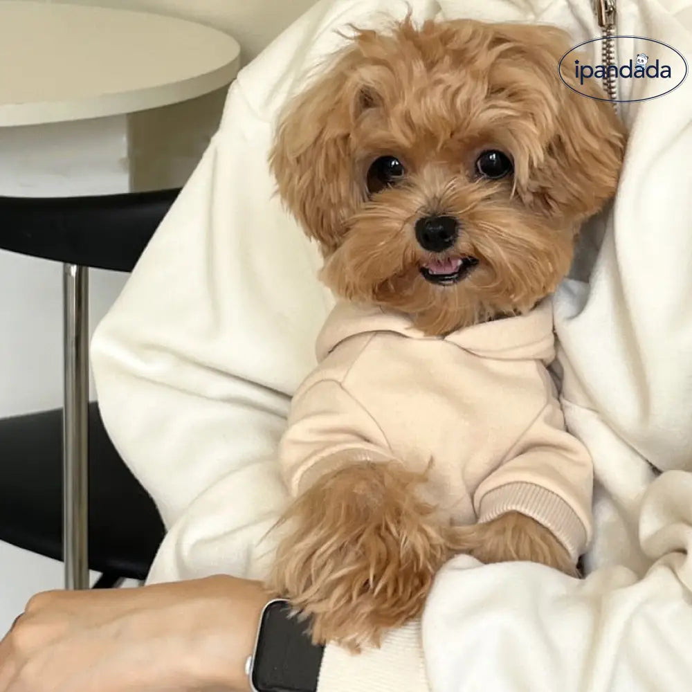 犬用 秋冬 韓国風 保温 フード付き スウェットシャツ ペット用 猫 小型犬 ビションフリーゼ テディベア ID3250