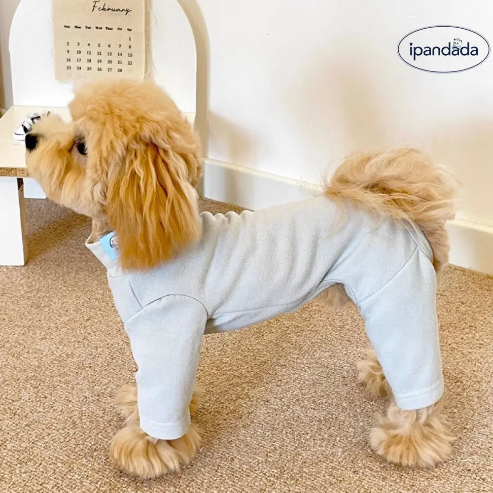 犬用 秋冬 新作 デロン 超柔らか 保温 ストレッチ オールインワン 四足服 小型犬 冷え防止 ルームウェア ID3440