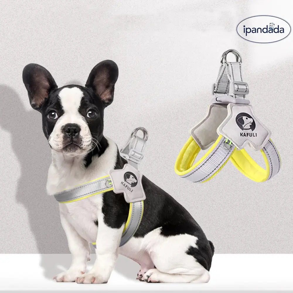 犬用 リード ハーネス お出かけ用品 フレンチブルドッグ ボストンテリア テディベア ボーダーコリー コーギー ビーグル ポメラニアン ID2198