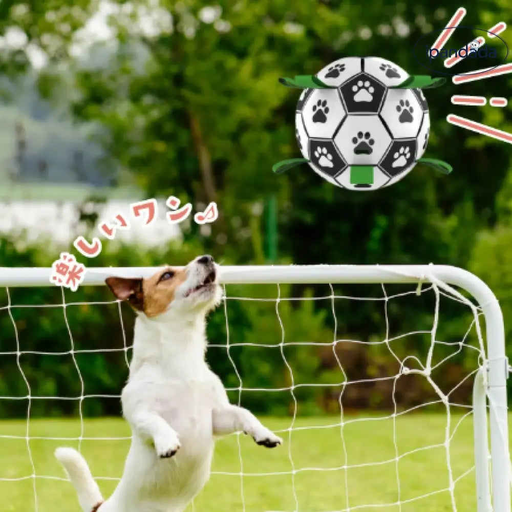 犬用サッカーボール 犬用おもちゃ 犬 おもちゃ オモチャ 空気入れ付き 犬用 ボール デンタルケア ペット玩具 犬玩具 ストレス発散 ペット おもちゃ 遊び 硬い 噛む ペット ペット用品 可愛い プレゼント 頑丈 ペット用品＞おもちゃ