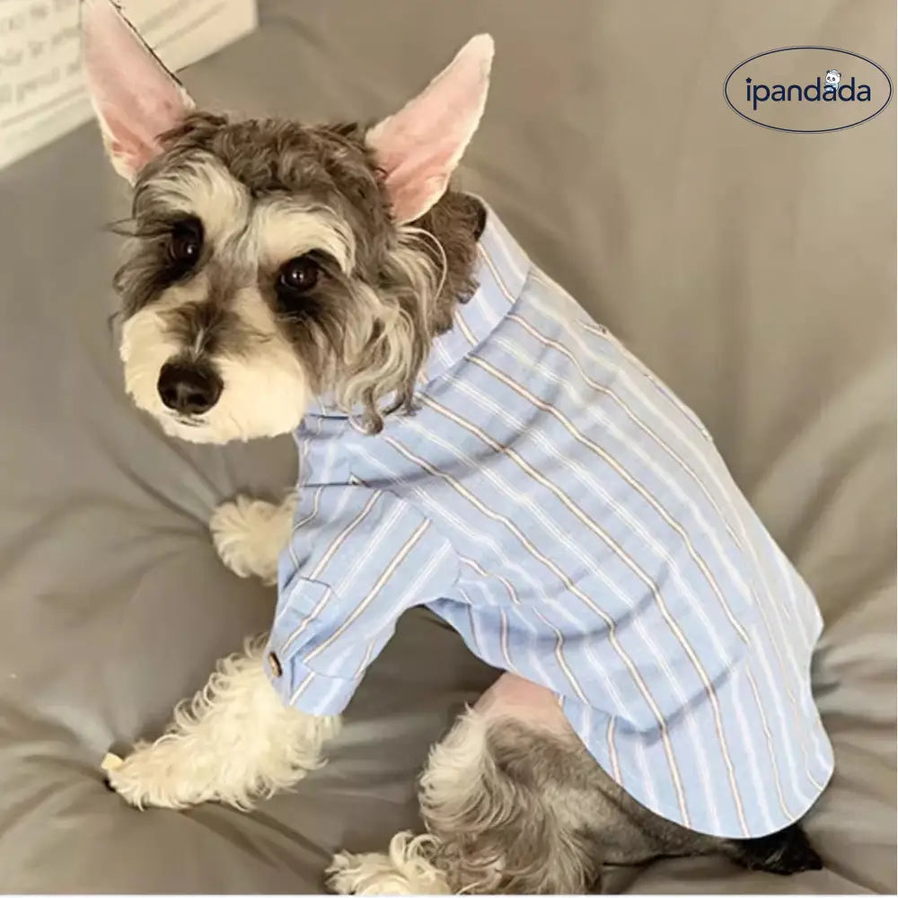 犬用ウェア 春秋向け テディ ベア シュナウザー ビション フリーゼ ペット用 猫用 シャツ 薄手 毛が抜けにくい ID2393