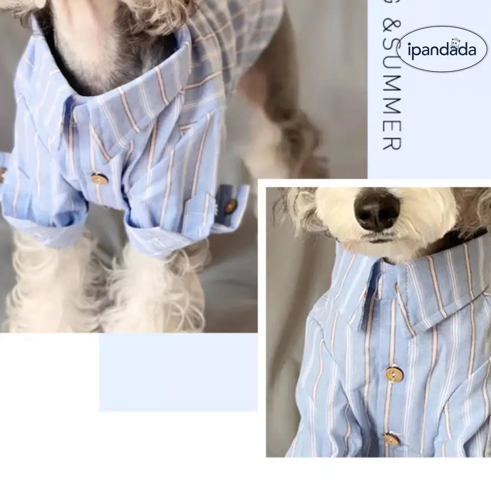 犬用ウェア 春秋向け テディ ベア シュナウザー ビション フリーゼ ペット用 猫用 シャツ 薄手 毛が抜けにくい ID2393