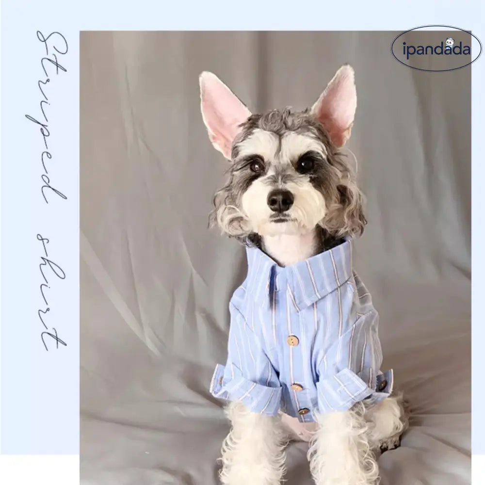 犬用ウェア 春秋向け テディ ベア シュナウザー ビション フリーゼ ペット用 猫用 シャツ 薄手 毛が抜けにくい ID2393