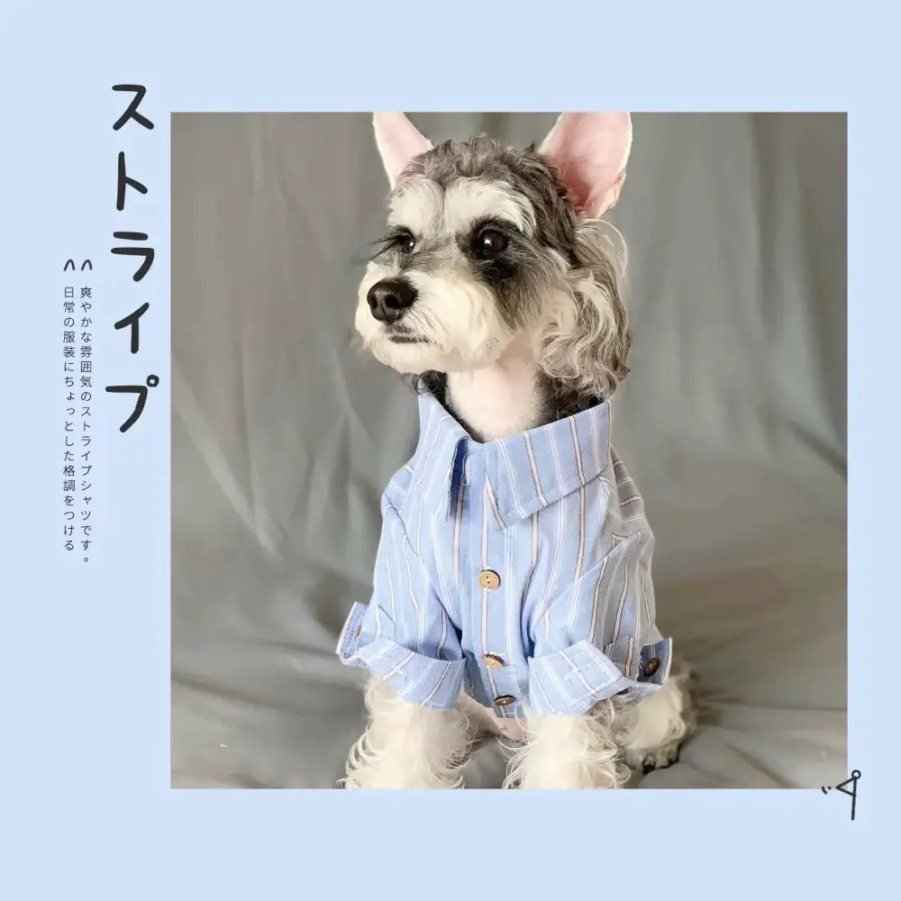 犬用ウェア 春秋向け テディ ベア シュナウザー ビション フリーゼ ペット用 猫用 シャツ 薄手 毛が抜けにくい ID2393