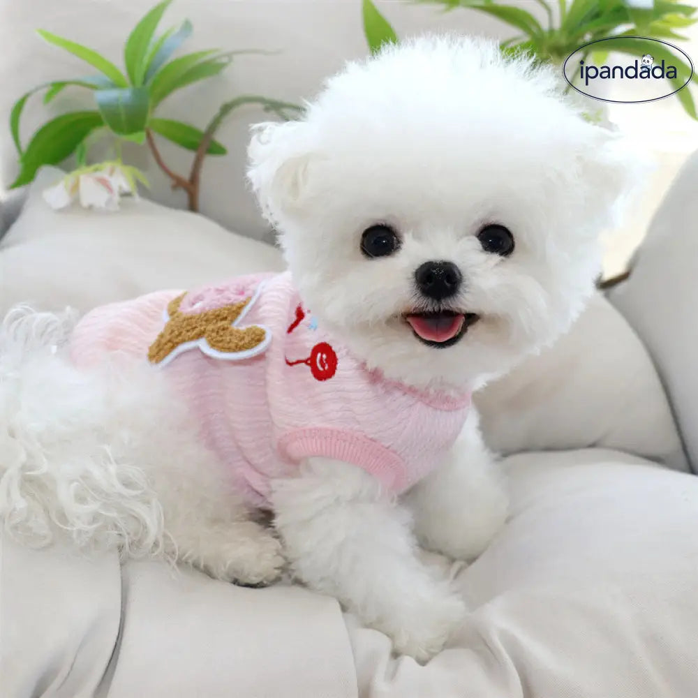 犬の服 春秋 新作 可愛い カラフル ダックスフンド ベスト 牽引リング付き テディ ベア ビション 小型犬の服 ID2623