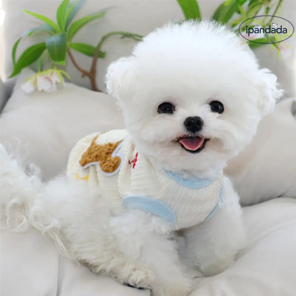 犬の服 春秋 新作 可愛い カラフル ダックスフンド ベスト 牽引リング付き テディ ベア ビション 小型犬の服 ID2623