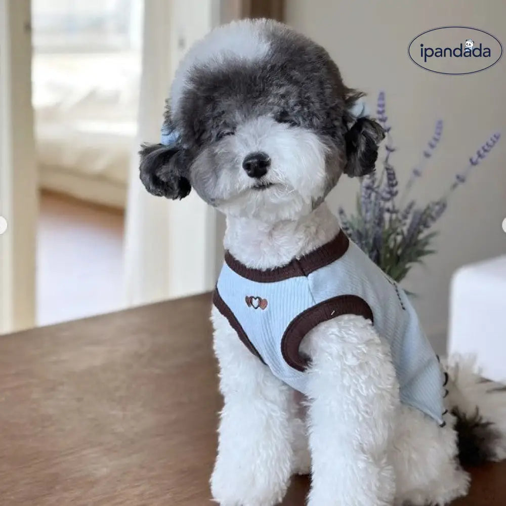 【花】犬服タンクトップ 犬の服 ペット服 春夏用 刺繍 クマ柄 ビションフリーゼ 猫用 タンク