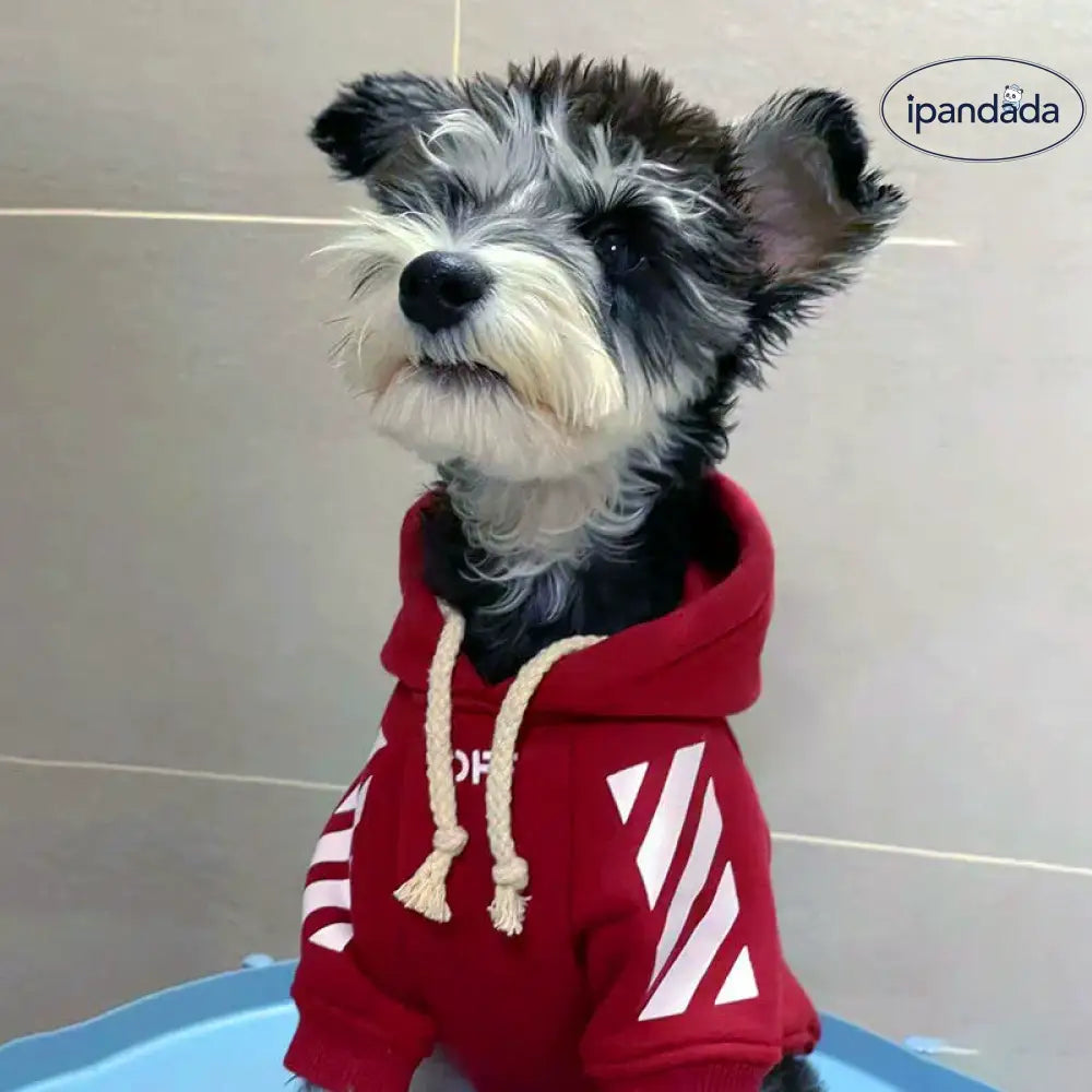犬の服 ペット服 パーカー フード付き シュナウザー 着せやすい あったか シンプル レッド チワワ服 トイプードル服 おしゃれ かっこい 女の子 男の子 ペット用品＞ウェア