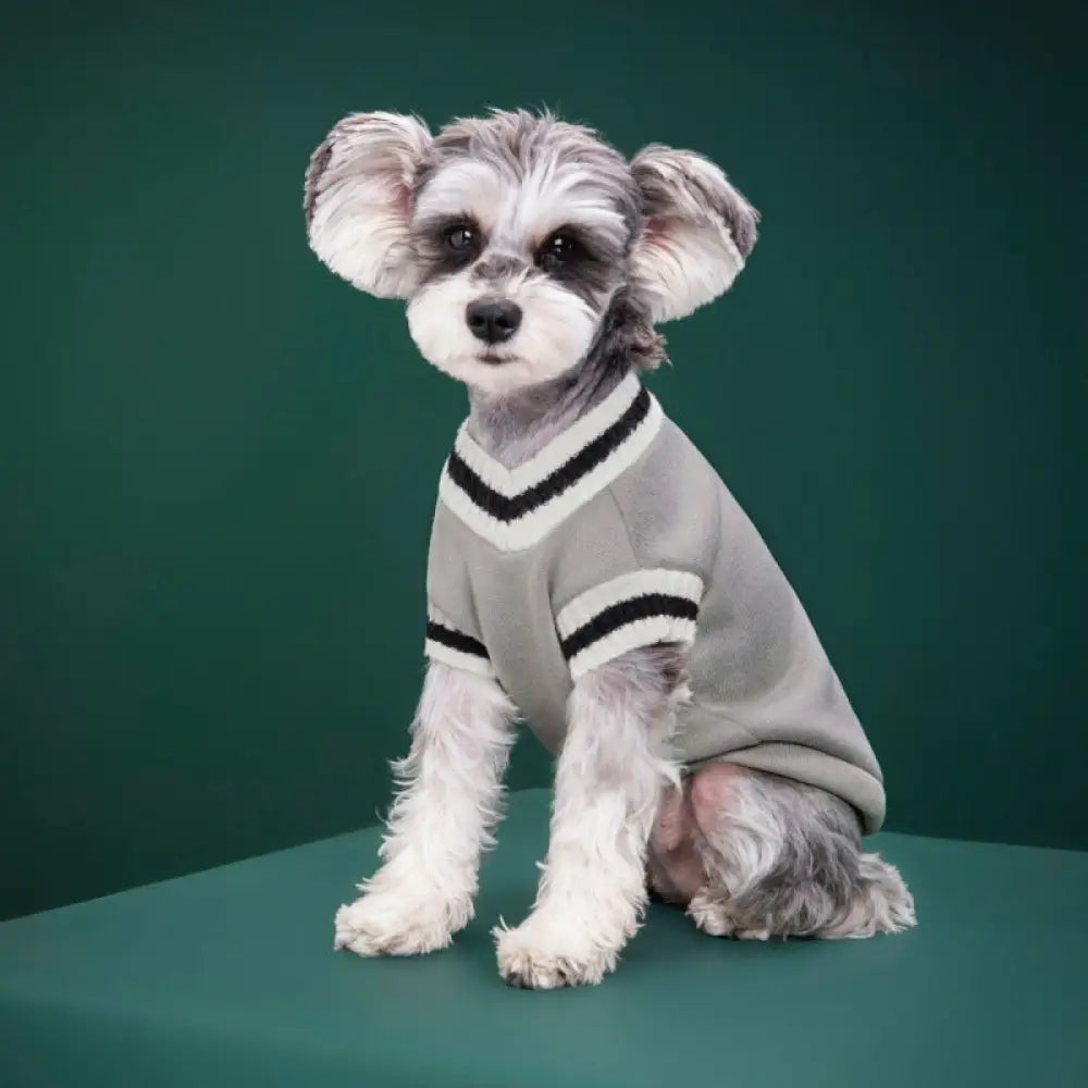 犬の服 猫の服 キャンパス風 ベスト バッジ おしゃれ 小中大 猫犬用 ニットコットン カップル用 セーター ID2535 グレー / XS
