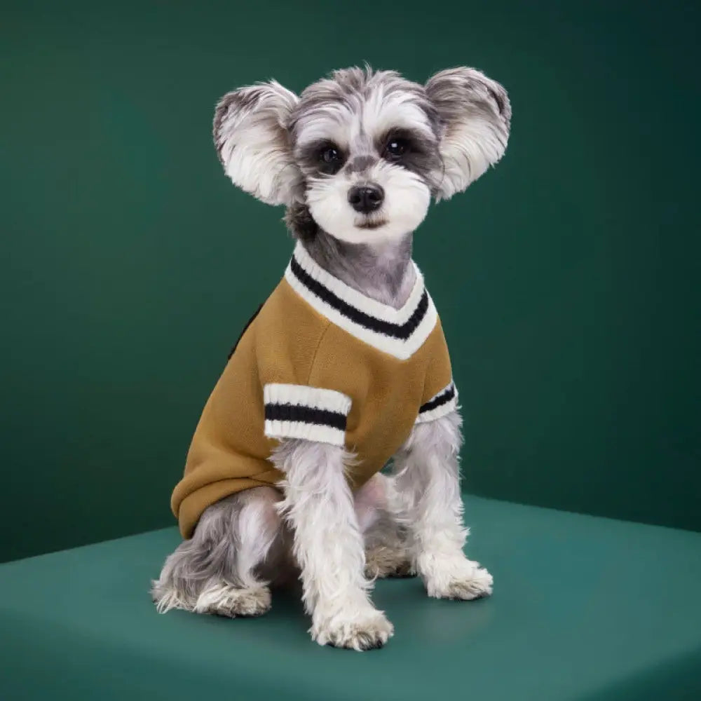 犬の服 猫の服 キャンパス風 ベスト バッジ おしゃれ 小中大 猫犬用 ニットコットン カップル用 セーター ID2535 イエロー / XS