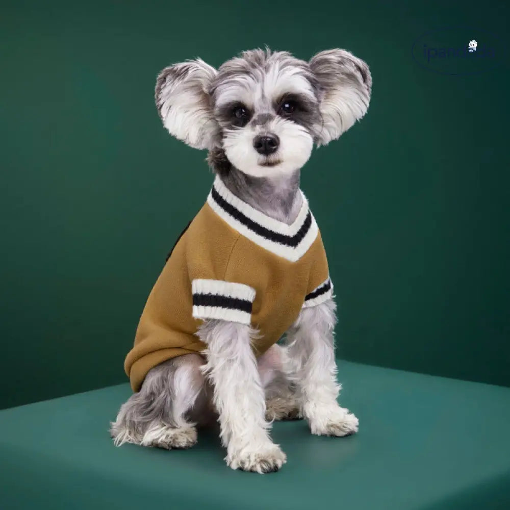 犬の服 猫の服 キャンパス風 ベスト バッジ おしゃれ 小中大 猫犬用 ニットコットン カップル用 セーター ID2535