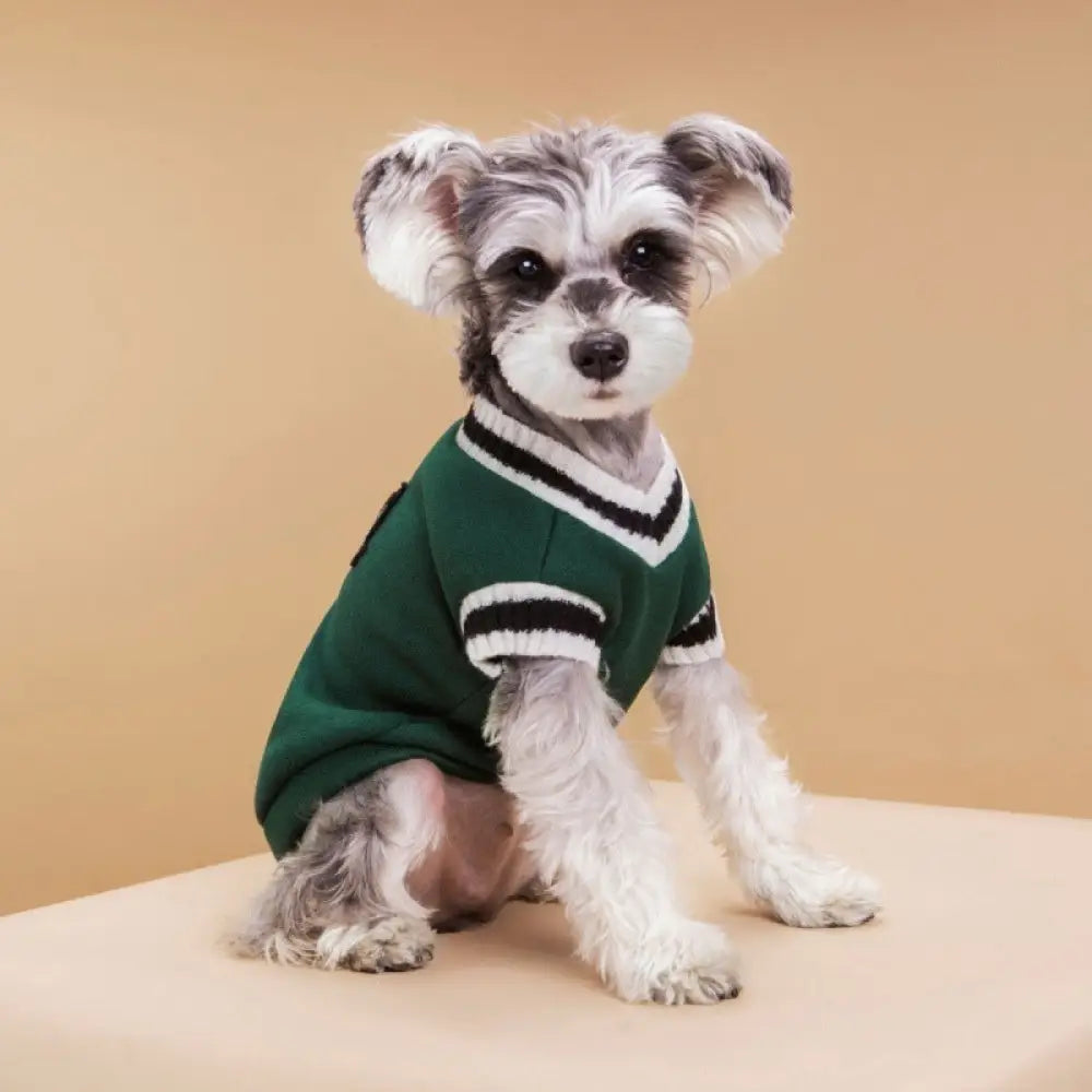 犬の服 猫の服 キャンパス風 ベスト バッジ おしゃれ 小中大 猫犬用 ニットコットン カップル用 セーター ID2535