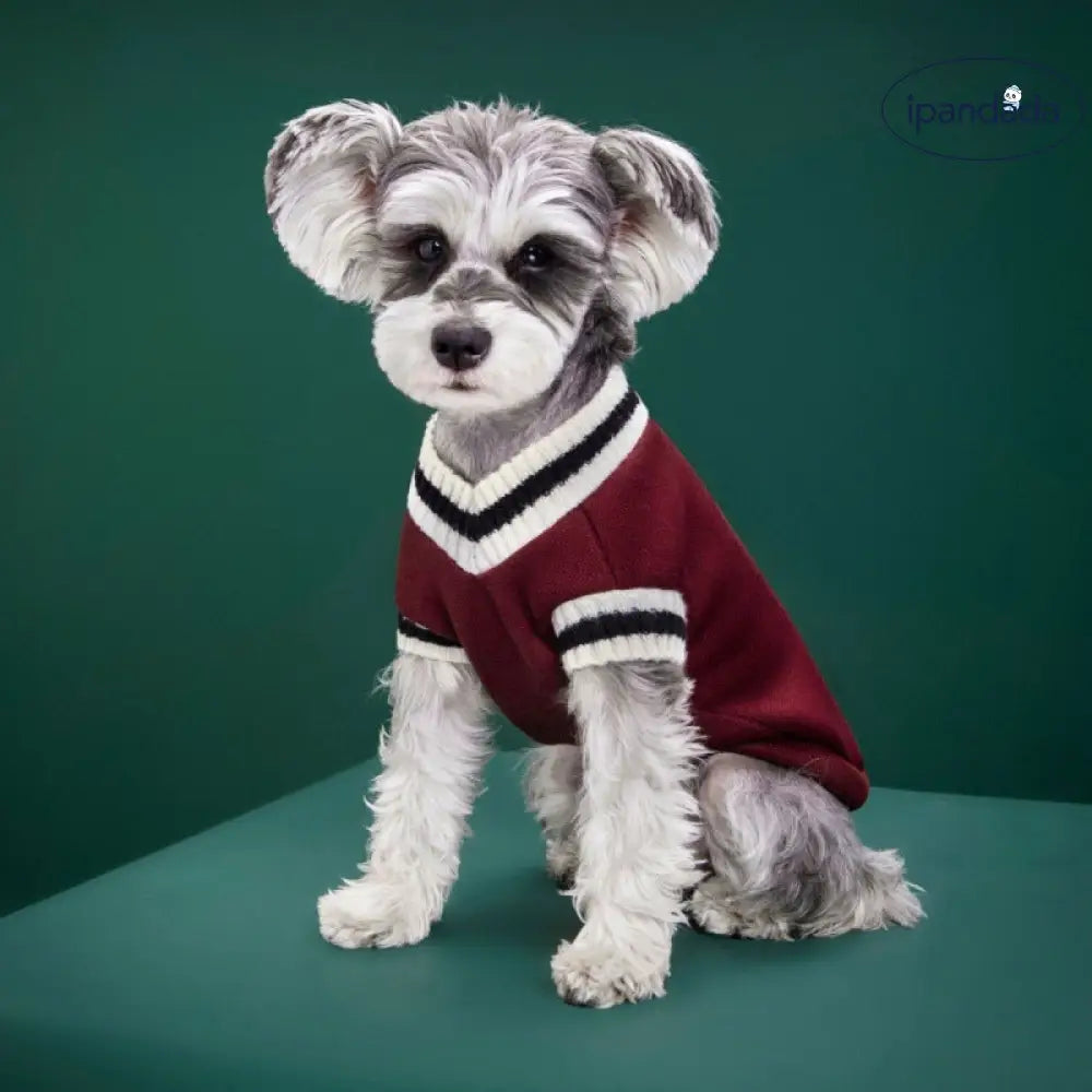 犬の服 猫の服 キャンパス風 ベスト バッジ おしゃれ 小中大 猫犬用 ニットコットン カップル用 セーター ID2535