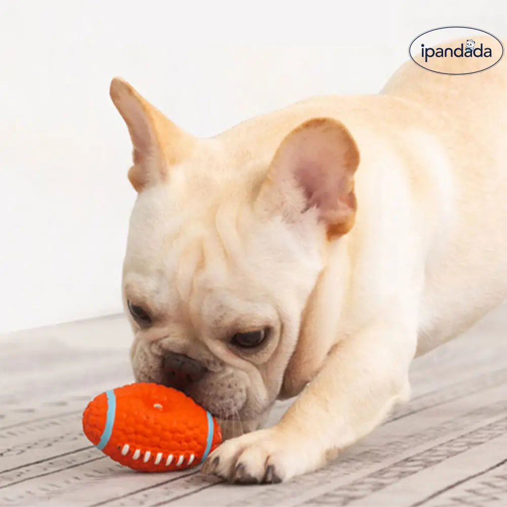 ID880 犬のおもちゃ 犬用オモチャ ラテックス 清潔 安全 小型犬用 中 大型犬用 シンプルデザイン４タイプ ドッグトイ 強くて柔らかい 囓っても壊れない 弾む 転がす 踏む 齧る 音が出る ワンちゃんも楽しい ペット用品＞おもちゃ