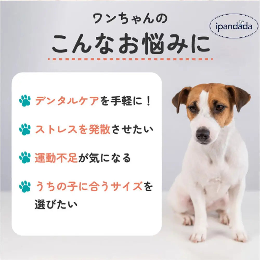 ID880 犬のおもちゃ 犬用オモチャ ラテックス 清潔 安全 小型犬用 中 大型犬用 シンプルデザイン４タイプ ドッグトイ 強くて柔らかい 囓っても壊れない 弾む 転がす 踏む 齧る 音が出る ワンちゃんも楽しい ペット用品＞おもちゃ