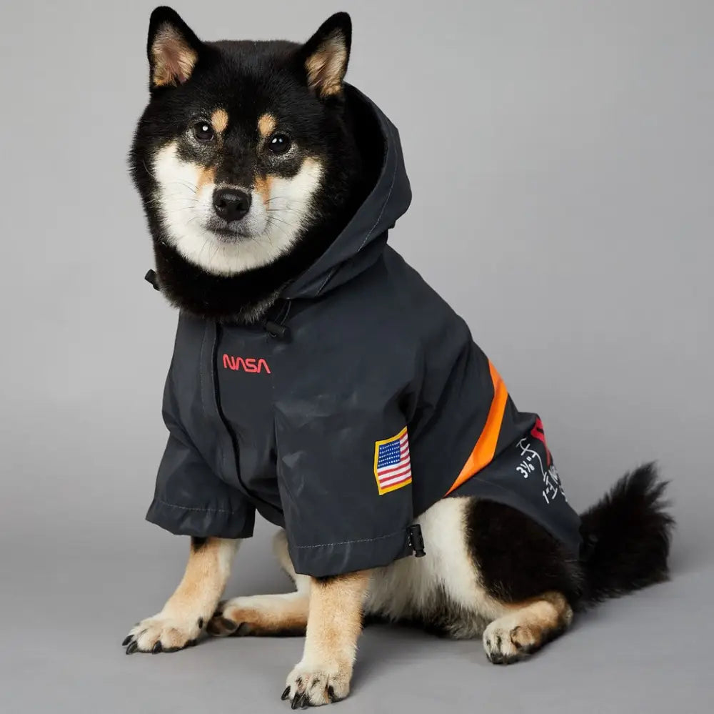 レインコート かっこいい 犬用 雨カッパ ピカジャケ 犬レインコート ペットジャケット 着せやすい 夜道 軽量 お出掛け 散歩 光る ブラック / S ペット用品＞ウェア