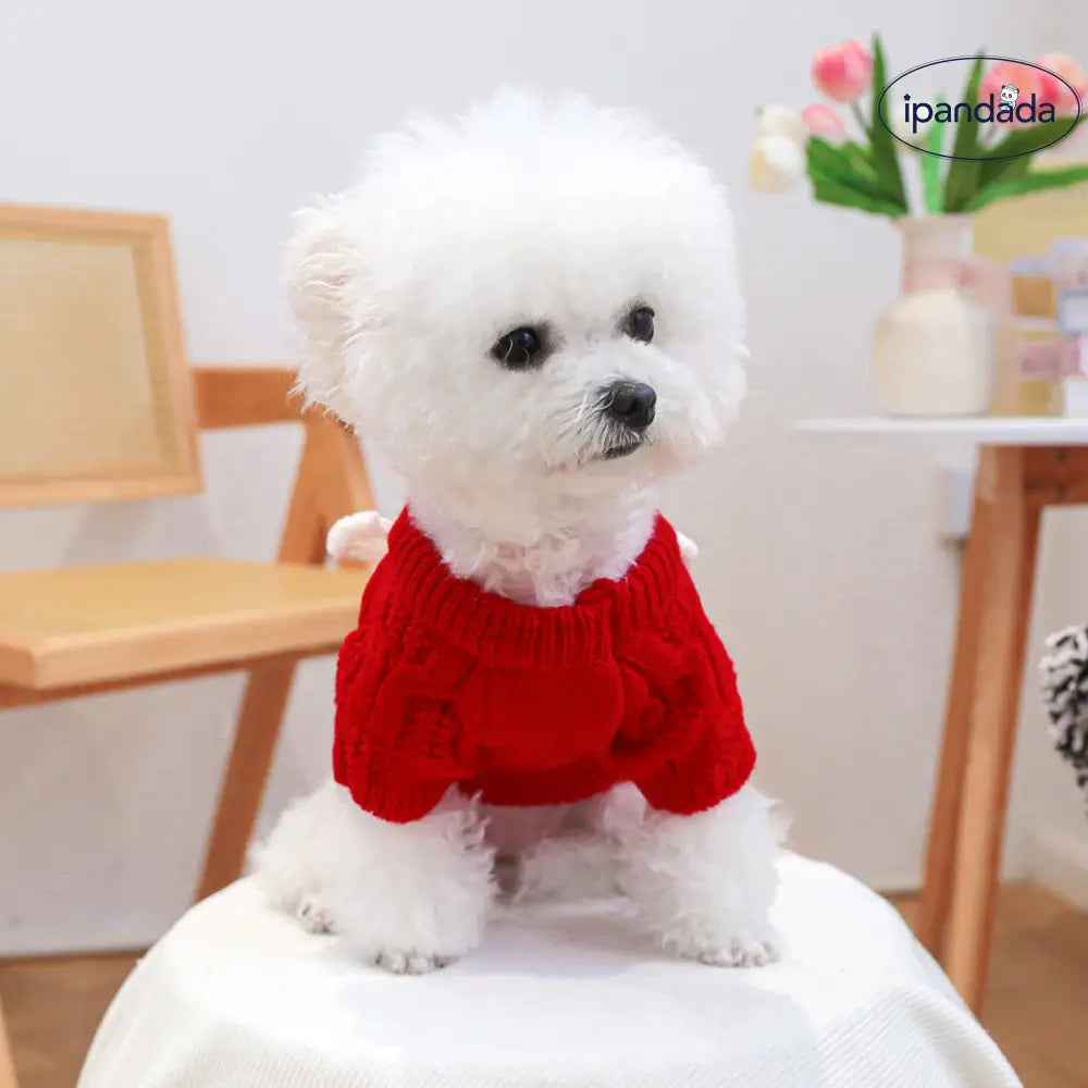 人気商品 ペット用 ペット服 秋冬用 小型犬 猫用 秋冬 リボン セーター 厚手 保温 中小型犬用 新作ファッション ID2352