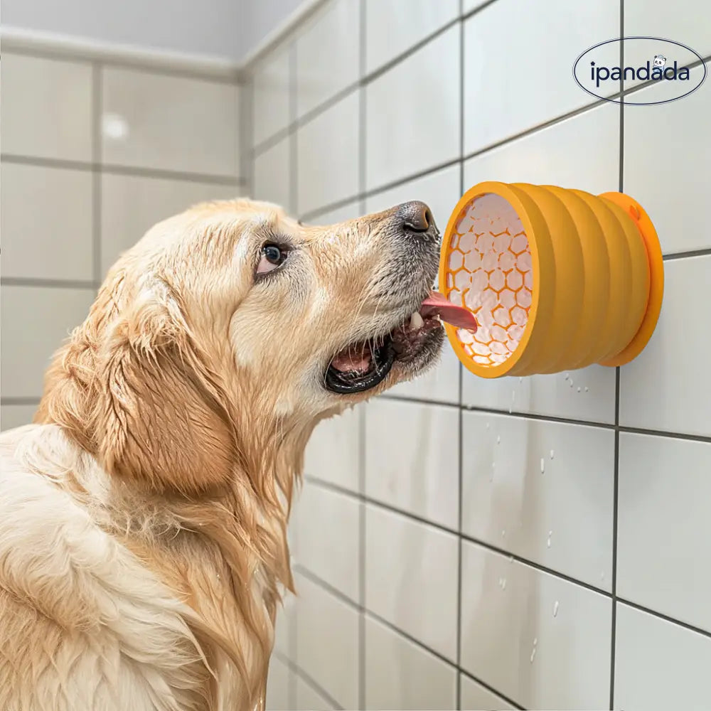 ID1676 スローフィーダー 犬用食器 滑り止め底 転倒防止 人気No.1 スタンダードサイズ～大型犬用 2サイズ展開