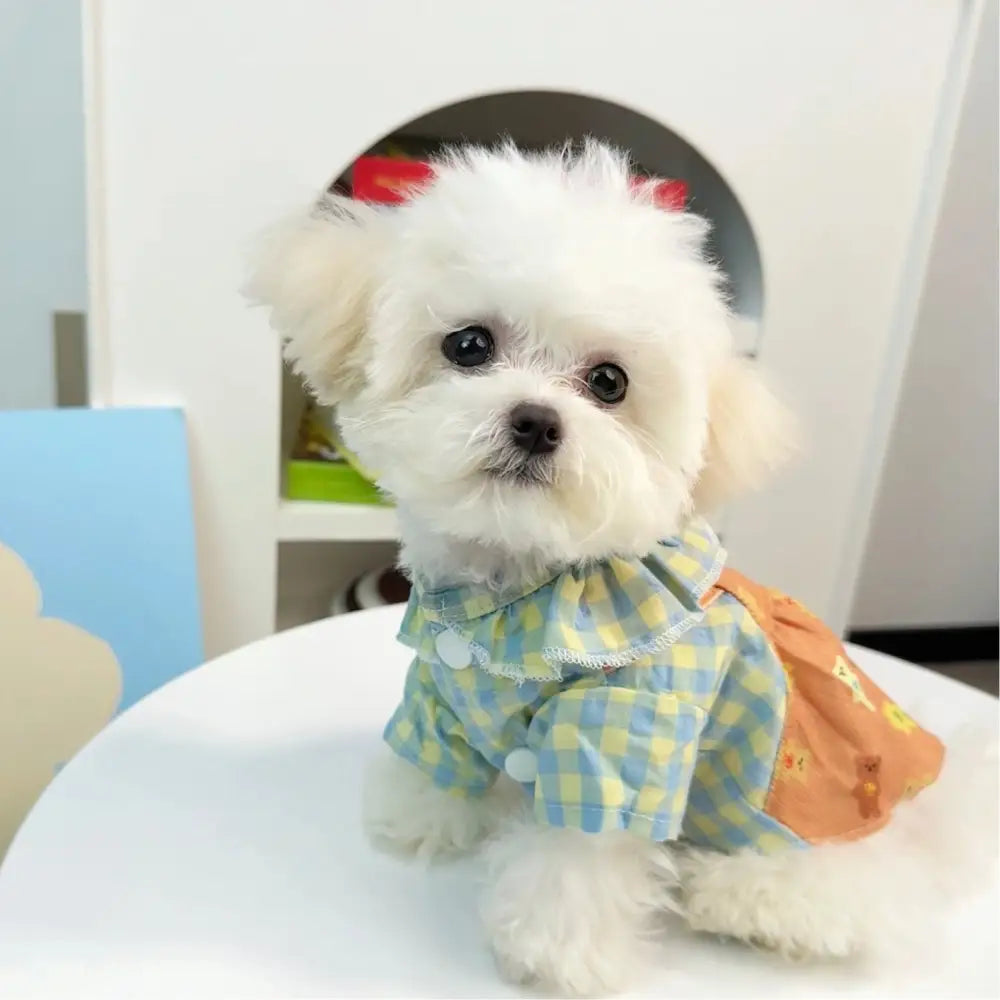 サスペンダー付き フリル 小熊 チェック柄 ワンピース ペット 犬猫用 小型犬 春夏秋用 プリンセスドレス テディ ベア ビション用 ID2331