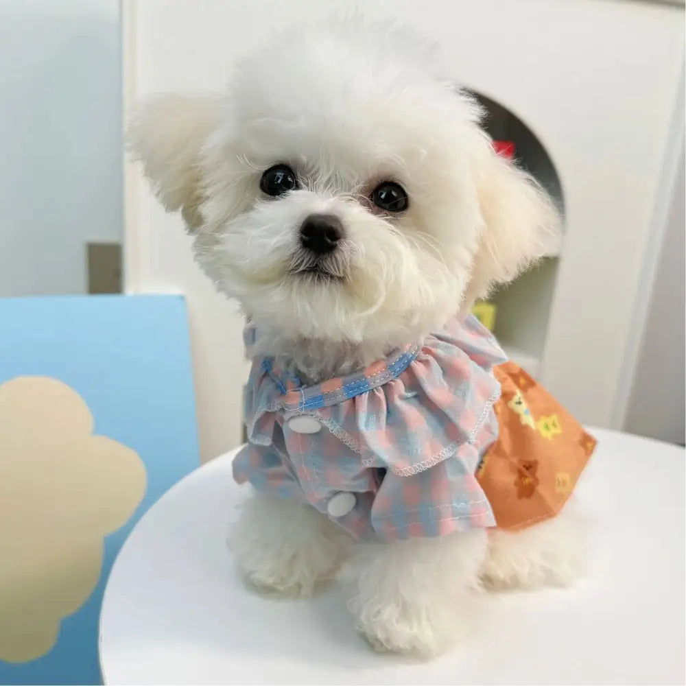サスペンダー付き フリル 小熊 チェック柄 ワンピース ペット 犬猫用 小型犬 春夏秋用 プリンセスドレス テディ ベア ビション用 ID2331 ピンク / XS ペット用品＞ウェア