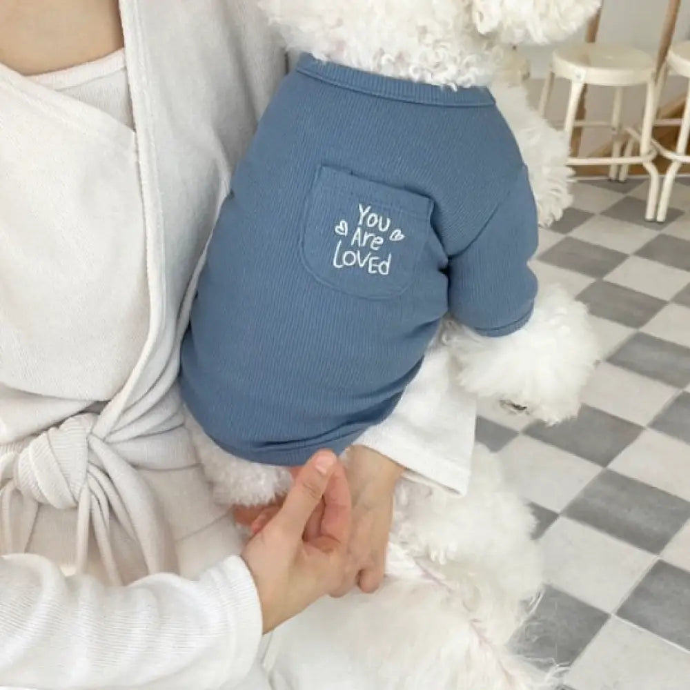 シンプル ドッグウェア 伸縮性 犬服 ペット服 あったか カットソー トレーナー 柔らかい 保温 秋 犬 ダックス 長袖 人気 可愛い チワワ ペットウェア おしゃれ ブルー / XS（対応体重0.65-1.2KG） ペット用品＞ウェア