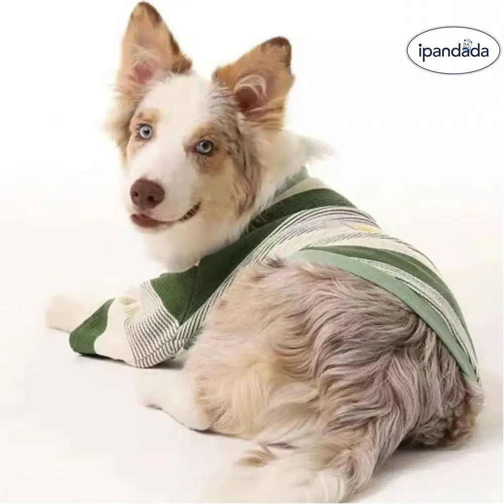 シンプル レトロ インスタ ペット ドッグ ウェア 中小型犬 シュナウザー ボーダー コリー ゴールデン レトリバー ラブラドール ストライプ Tシャツ ID2881