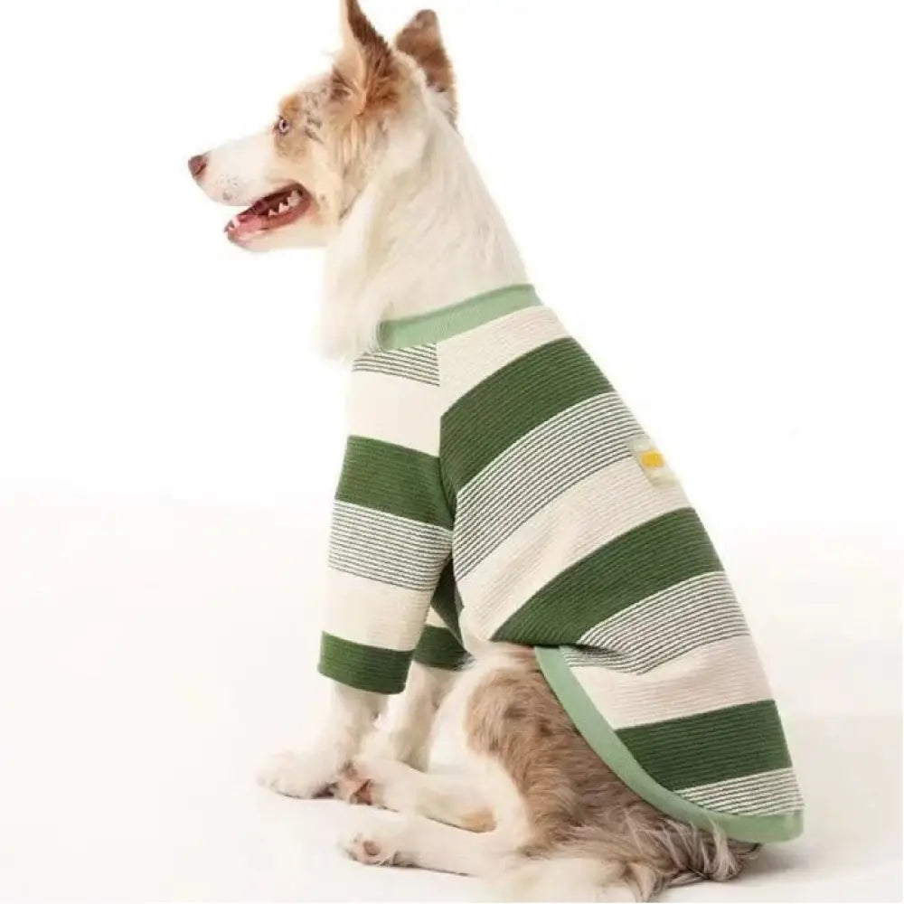 シンプル レトロ インスタ ペット ドッグ ウェア 中小型犬 シュナウザー ボーダー コリー ゴールデン レトリバー ラブラドール ストライプ Tシャツ ID2881