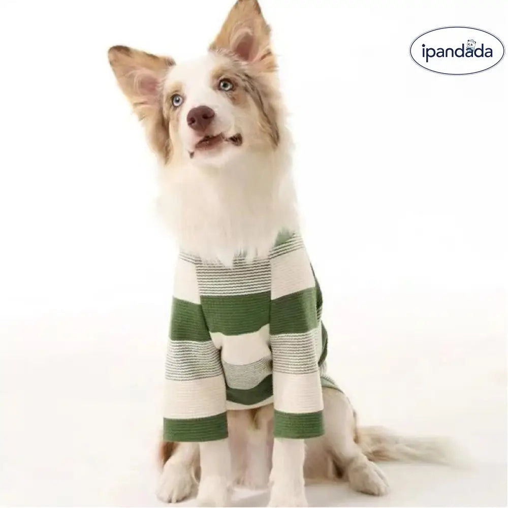 シンプル レトロ インスタ ペット ドッグ ウェア 中小型犬 シュナウザー ボーダー コリー ゴールデン レトリバー ラブラドール ストライプ Tシャツ ID2881