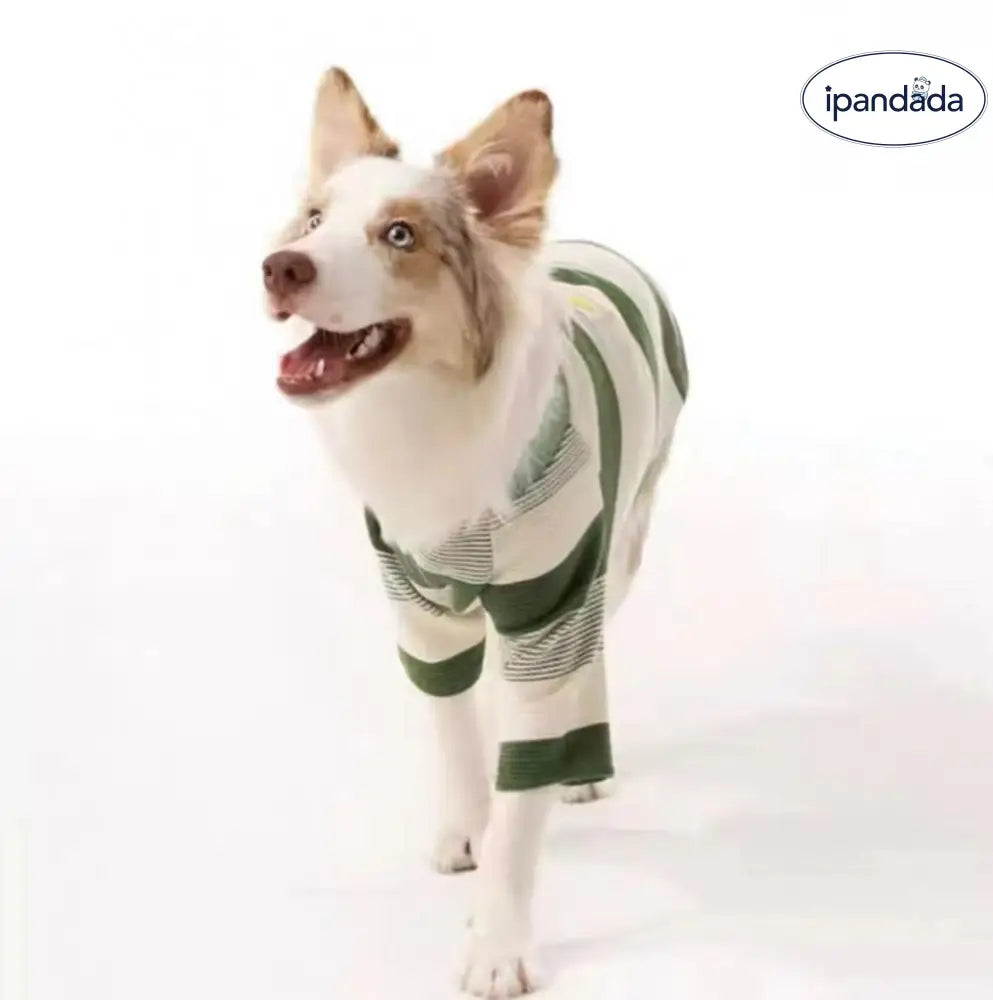 シンプル レトロ インスタ ペット ドッグ ウェア 中小型犬 シュナウザー ボーダー コリー ゴールデン レトリバー ラブラドール ストライプ Tシャツ ID2881