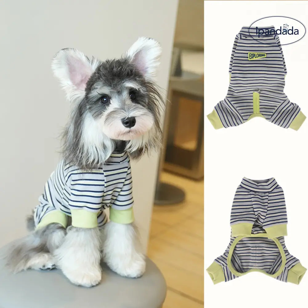 ストライプ カジュアル 4足型 ベース 小型犬 ペット服 シュナウザー 犬服 秋冬 4足衣 かわいい ID2476